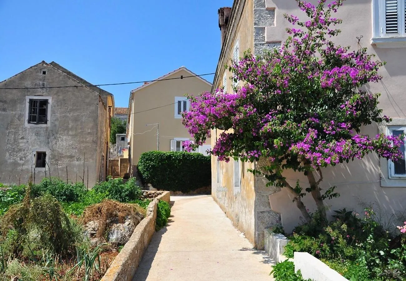 Apartments Oasis - 50 M From The Sea Veli Rat